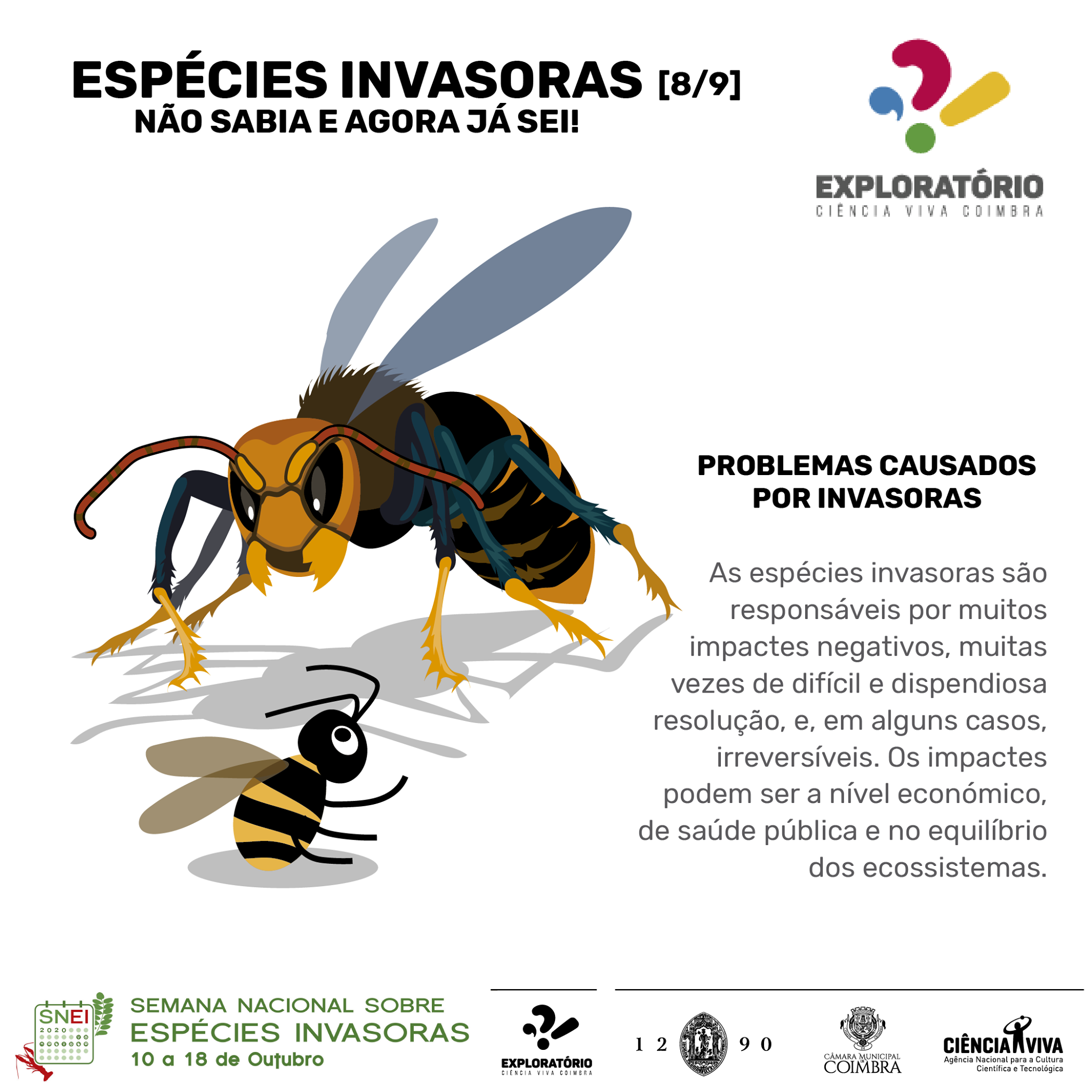 Espécies Invasoras – o que não sabia e agora já sei! | Plantas ...